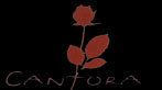 [ RESTAURANTE CANTORA ]